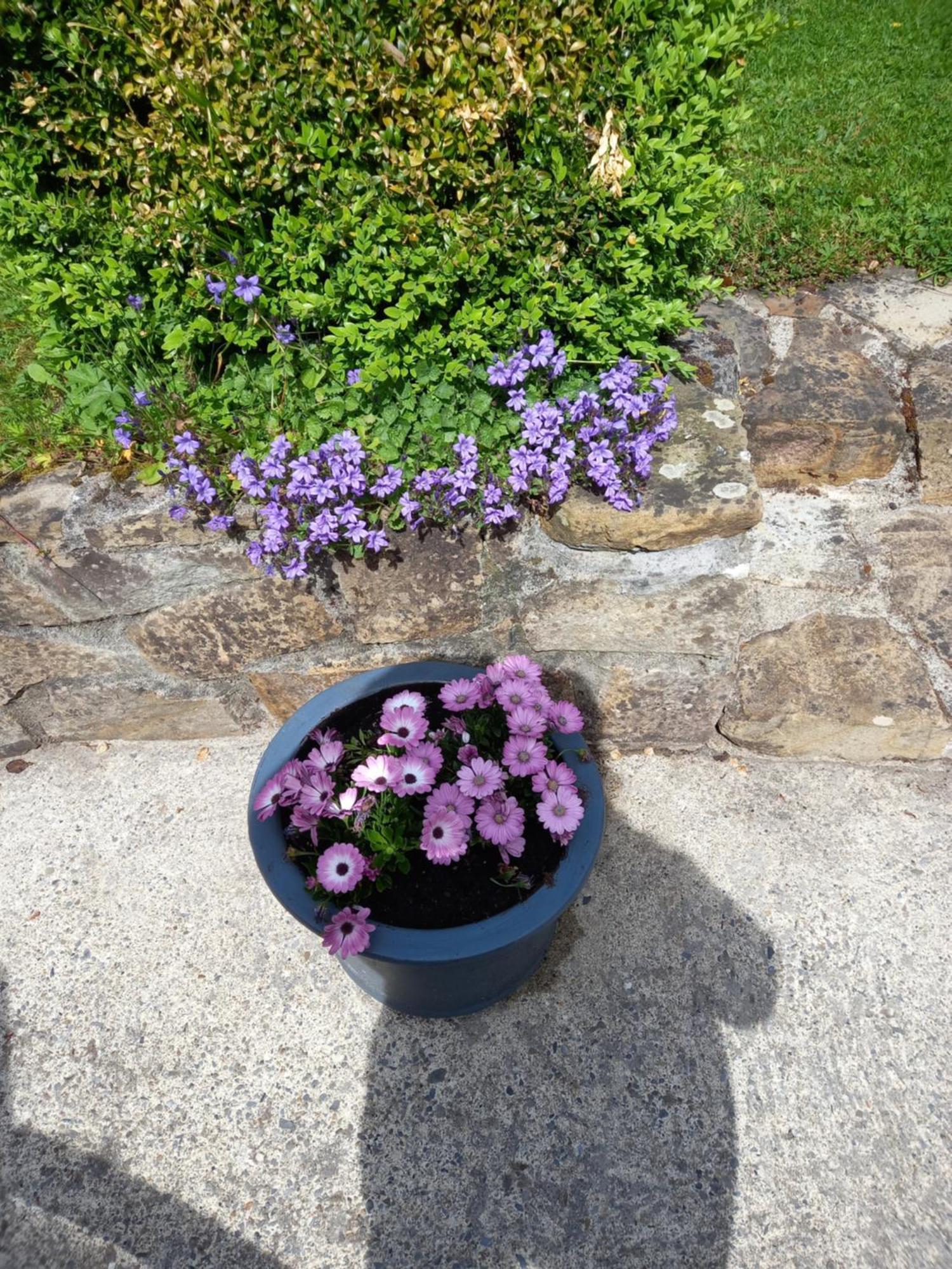 Carraig Rua Bed & Breakfast Kilkenny Exterior photo