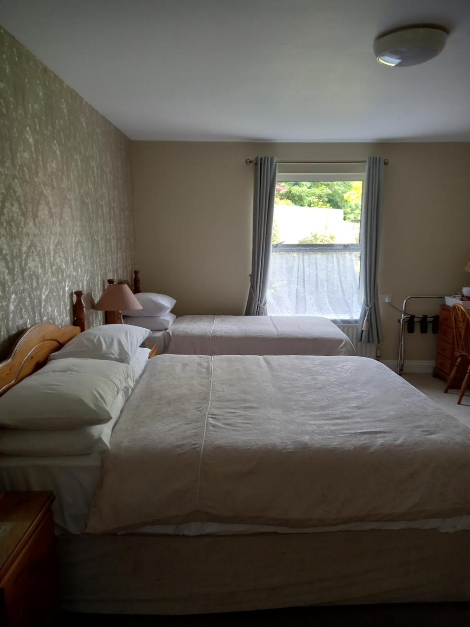 Carraig Rua Bed & Breakfast Kilkenny Exterior photo